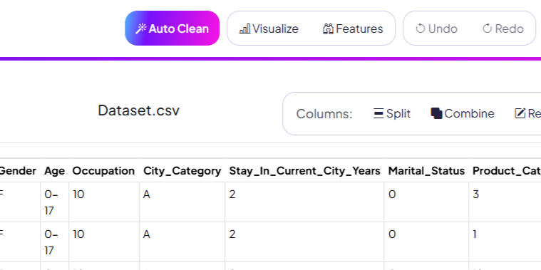 Address Cleaning Example UI