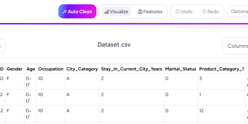 Address Cleaning Example UI